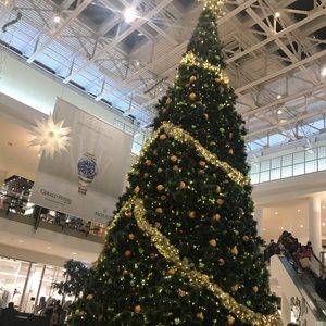 Meet your Posher, Qing